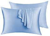 Natural Silk Pillowcase Set of 2 for Hair &Skin - Both Sides 19 Momme 600 Thread Count with Hidden Zipper (Light Blue, Standard)