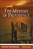 Mystery of Providence (Puritan Paperbacks)