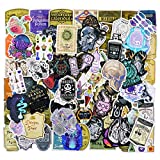 GUHAR 100 Apothecary Water Bottle Stickers | Potions Label Stickers, Party Supplies, Vinyl Waterproof Graffiti Stickers for Scrapbook Water Bottle Cup Guitar Bicycle Skateboard Luggage