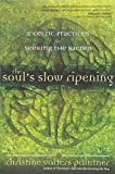 The Soul’s Slow Ripening: 12 Celtic Practices for Seeking the Sacred