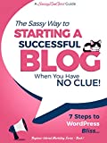 Starting a Successful Blog when you have NO CLUE!: 7 Steps to WordPress Bliss.... (Beginner Internet Marketing Series Book 1)