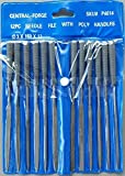 12 Piece Precision Needle File Set