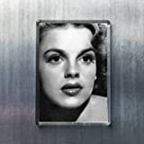 Seasons Judy Garland - Original Art Fridge Magnet #js004
