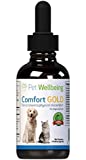 Pet Wellbeing Comfort Gold for Cats - Vet-Formulated - Eases Feline Physical Discomfort - Natural Herbal Supplement 2 oz (59 ml)