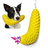 Nocciola Dog Chew Toy, Squeaky Toy, Durable Natural Rubber for Aggressive Chewers, 3 in 1 Interactive Dog Toy, Dog Teether and Water Blaster for Training and Cleaning Teeth (Milk)