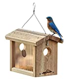 Kettle Moraine Cedar Hanging Bluebird Mealworm Feeder