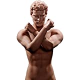 HiPlay Phicen 12" Male Seamless Action Figures-Realistic Silicone Body with Male Genitals -1/6 Scale Super Flexible Male Figure Dolls for Arts/Drawings/Photography (M31)