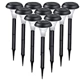 GardenBliss Best Solar Lights for Outdoor Pathway, 10 Brightest Light Set for Walkway, Patio, Path, Lawn, Garden, Yard Decor, Double Waterproof Seal, Large Led Landscape Outside Post Lighting Lamps