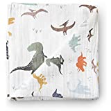 Aenne Baby Muslin Baby Swaddle Blanket Dinosaur Dino Print, Luxurious, Soft and Silky, 70% Bamboo 30% Cotton 47x47inch (1pack), Baby boy Nursing Cover, wrap, Burp Cloth