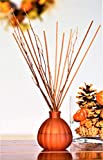 Manu Home Vanilla Spiced Pumpkin Reed Diffuser Set | 6.5 Ounce Fill | Nostalgic Scent Crafted with Aromatherapy Oils, Pumpkin Extract, Vanilla and Pecan | Brown Reeds and Branches | Made in USA.