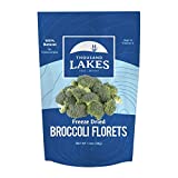 Thousand Lakes Freeze Dried Fruits and Vegetables - Broccoli Florets 1.2 ounces | 100% Florets - No Stems | No Salt Added