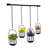 Hanging Planters for Window with 4 Plants Pots - Wall/Window Plant Hanger Indoor Herb Garden