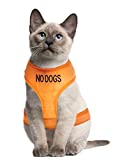 Dexil Color Coded Cat Harness Warning Alert Vest Padded and Water Resistant Orange NO Dogs (S-M)