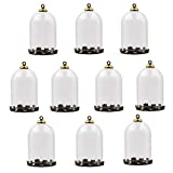10 Pieces Clear Tube Glass Globe Bottle with findings Hollow Glass Dome, Glass Vial Pendant Charms (38x25mm Bronze Crown)
