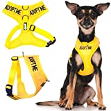 Dexil Limited Adopt ME Yellow Color Coded Non-Pull Front and Back D Ring Padded and Waterproof Vest Dog Harness Donate to Your Local Charity (XS)