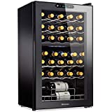 Wine Enthusiast 32-Bottle Dual Zone MAX Compressor Wine Cooler