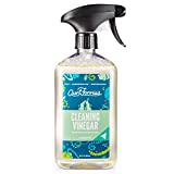 Aunt Fannie's All Purpose Cleaning Vinegar 16.9 Ounces, Multipurpose Surface Spray Cleaner (Eucalyptus)