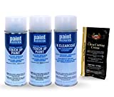 PAINTSCRATCH Touch Up Paint Tricoat Spray Can Car Scratch Repair Kit - Compatible/Replacement for Hyundai Sonata Quartz White Tricoat (Color Code: WW8)