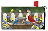 Briarwood Lane Birdbath Gathering Spring Magnetic Mailbox Cover Floral Birds Standard