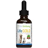 Pet Wellbeing Life Gold for Cats - Vet-Formulated - Immune Support and Antioxidant Protection - Natural Herbal Supplement 2 oz (59 ml)