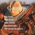 Hot Country Hits 1