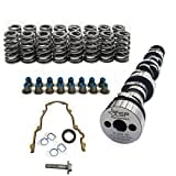 Texas Speed TSP Stage 3 Low Lift Truck Camshaft Vortec Truck Cam 3 Bolt Cam 4.8 5.3 6.0,Includes GM LS6 Single Beehive Valve Springs, Set of 16 and Gasket Set Kit (Camshaft, Springs and Gasket Kit)