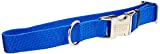 Coastal Pet Products DCP6196220BLU Nylon Titan Adjustable Dog Collar with Metal Buckle, 1-Inch, Blue