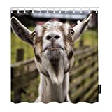 Moslion Goat Shower Curtain Set Cute Animal Funny Sheep Head with White Feather in Farmhouse Grass Field Shower Curtains Home Waterproof Long Polyester Fabric Shower Curtain with Hooks 72x72 Inch