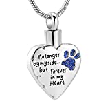 memorial jewelry No Longer by My Side,But Forever in My Heart Carved Locket Cremation Urn Necklace for Pet Dog Cats （Blue）