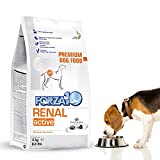 Forza10 Kidney Care Dog Food, Dry Renal Dog Food for Adult Dogs, 8.8 Pound Bag, Fish Flavor Kidney Failure Dog Food for All Breeds and Sizes