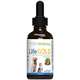 Pet Wellbeing - Life Gold for Cats - Immune System Support & Antioxidant Protection for Your Cat with Cancer - 2 oz (59 ml)