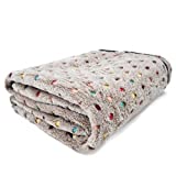 PAWZ Road Dog Blanket Soft Fleece Pet Blanket Washable Cat Blanket for Couch Blanket Beige Large