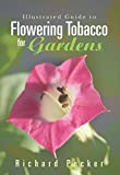 Illustrated Guide to Flowering Tobacco for Gardens