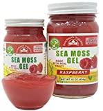Organic Sea Moss Gel (8 Flavors) - 16 Ounce - Real Fruit - Wildcrafted Sea Moss (Raspberry, Pineapple Mango, Strawberry, Lemon, Apple Cinnamon, Berry Mix, Elderberry)