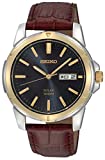 Seiko Men's SNE102 Stainless Steel Solar Watch with Brown Leather Strap, Multicolor dial