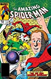 Amazing Spider-Man (1963-1998) #248