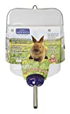Lixit Weather Resistant 64 Ounce Water Bottler for Rabbits and Other Small Animals (64 Ounce (Pack of 1), Frosted)
