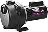 Wayne WLS200 2 HP Cast Iron High Volume Lawn Sprinkling Pump, 2-Horsepower, Green