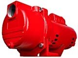 Red Lion RL-SPRK200 Cast Iron Sprinkler Pump, 2 hp