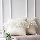 Ashler Pack of 2 Throw Pillow Cases Luxury Decorative Soft Velvet Cushion Covers with Feather for Couch Bed Living Room and Office Chair, Beige White 18 x 18 inches 45 cm x 45 cm