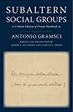 Subaltern Social Groups: A Critical Edition of Prison Notebook 25 (European Perspectives: A Series in Social Thought and Cultural Criticism)