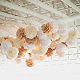 10PCS Mixed Cream Tan Brown White Party Tissue Paper Pom Poms Rustic Wedding Vintage Baby Shower Birthday Nursery Hanging Decoration