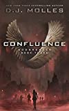 Confluence (Godbreaker Book 3)