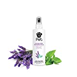 John Paul Pet Lavender Mint Detangling Spray for Dogs and Cats, Soothes Moisturizes and Replenishes Dry Unruly Fur, Non-Aerosol, 8-Ounce, clear