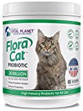 Vital Planet - Flora Cat - High Potency, Multi-Strain Probiotic Formula for Cats - 3.92 oz 30 Servings