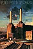 NMR/Aquarius Pink Floyd Animals Poster