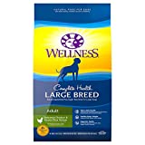 Wellness Natural Pet Food Complete Health Natural Dry Large Breed Dog Food, Chicken & Rice, 30-Pound Bag