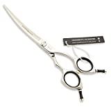 HASHIMOTO Curved Scissors For Dog Grooming,6.5 inches,Design For Professional Groomer.
