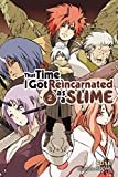 That Time I Got Reincarnated as a Slime, Vol. 2 (light novel) (That Time I Got Reincarnated as a Slime (light novel))