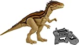 Jurassic World Mega Destroyers Carcharodontosaurus Carnivorous Dinosaur Figure Movable Joints, Realistic Sculpting & Advanced Attack Feature, Breakout Feature, Carnivore 4 Year Olds & Up (Multi)